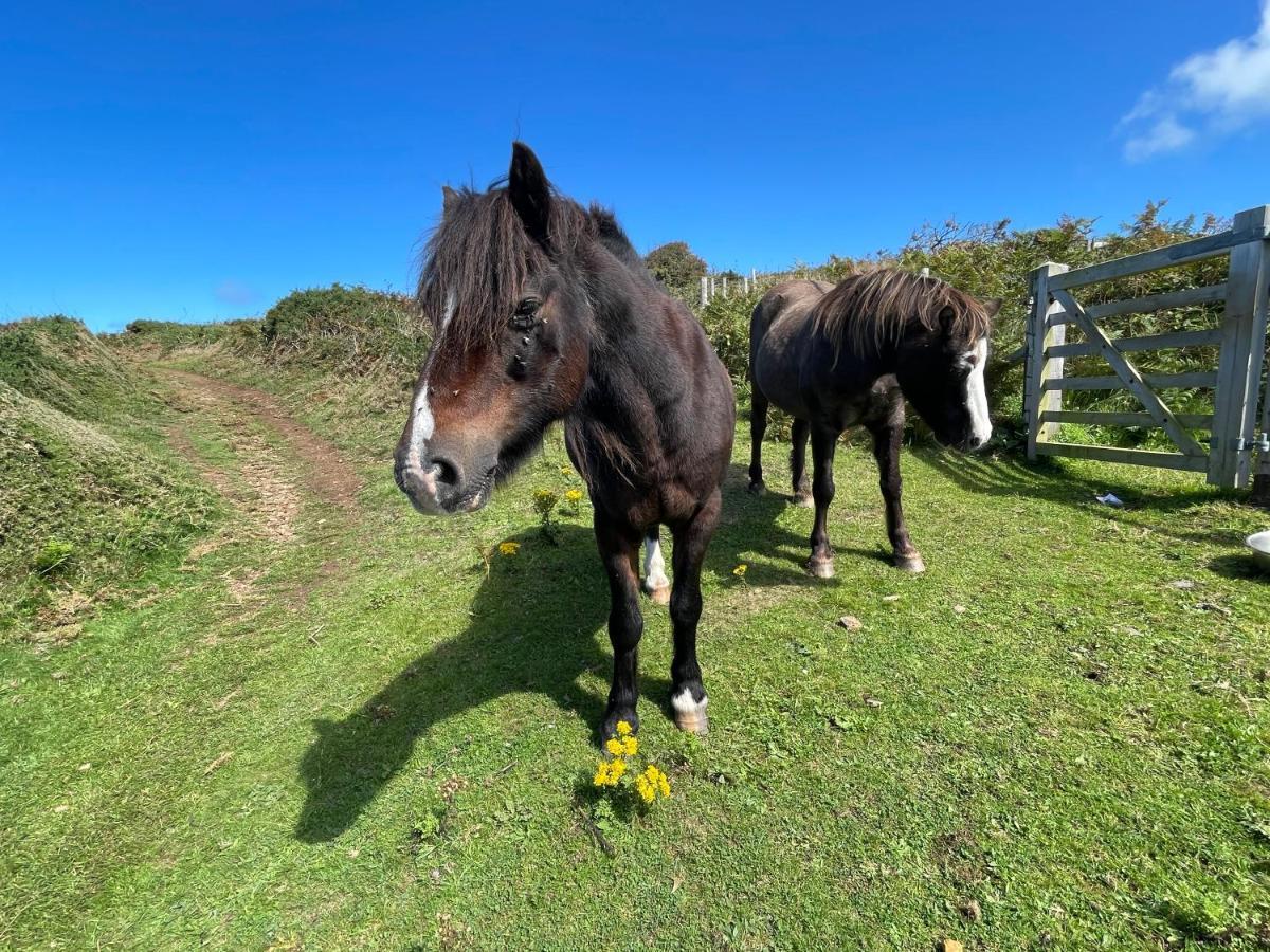 Trefechan Wen Barn Llanwnda  Luaran gambar