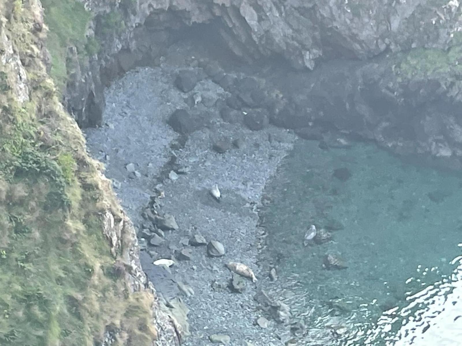Trefechan Wen Barn Llanwnda  Luaran gambar